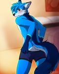  anthro black_nose blue_eyes blue_fur blush boxer_briefs butt canine clothed clothing embarrassed fox fur hair half-dressed looking_at_viewer looking_back male mammal neck_tuff tartii topless underwear underwear_pull undressing 