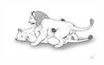  feline female feral lion male male/female mammal reallynxgirl 