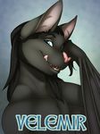  anthro bat hair male mammal solo tygurstar velemir 