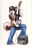  amp canine dog guitar husky mammal musical_instrument 