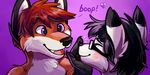  &lt;3 2015 anthro black_hair black_nose blush boop canine cassius cute denden eyewear folf fox fur glasses hair hybrid klippy male mammal orange_fur orange_hair poking purple_eyes smile teeth white_fur wolf 