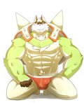  abs biceps bulge chesnaught chest_tuft clothing fur looking_at_viewer male mammal muscles nintendo nipples o-ro pecs pok&eacute;mon tuft underwear video_games 