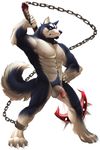  anthro balls blue_eyes blue_fur canine chain dog dudedle fur husky kemo_coliseum male mammal muscles nipples nude null-ghost penis pinup pose pubes shackle solo uncut weapon white_fur wolf 