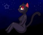  animal_ears black_fur cat cat_ears feline female fur iguanasarecool invalid_tag looking_at_viewer luna mammal markings night orange_eyes sailor_moon star 