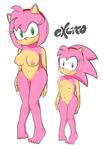  2015 amy_rose anthro areola big_breasts breasts erect_nipples excito female flat_chested hedgehog mammal navel nipples nude pussy sonic_(series) 