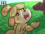  2015 animal_crossing balls breasts cum cum_on_face erection female isabelle_(animal_crossing) male male/female nintendo nipples penis tvma video_games 