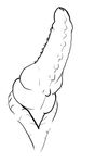  ask-a-deathclaw_(artist) deathclaw fallout frill knot multi_knot penis studs video_games 