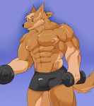  abs biceps canine male mammal metaball muscles nipples pecs solo teeth wolf 
