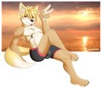  amber_eyes blonde_hair brown_fur brown_nose bulge canine clothed clothing dog fur hair half-dressed male mammal necklace peace_sign_(disambiguation) piercing sagemerric solo swimsuit tongue tongue_out topless 