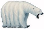  bear claws fangs kokogiak mammal multi_limb multiple_legs pathfinder polar_bear 