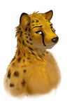  anthro cheetah feline latex_(artist) male mammal solo yellow_eyes 