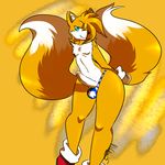  balls blue_eyes butt canine clothing fox girly male mammal miles_prower moneychan multiple_tails penis sonic_(series) thong 