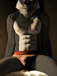  abs bulge canine cheesecaked clothing edit ivan_tsarevich_and_the_grey_wolf male mammal muscles nipples oystercatcher7 photo_manipulation photomorph seriy_volk underwear volk wolf 