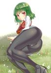  ascot ass black_legwear butterfly_on_hand butterfly_on_head cameltoe green_hair kazami_yuuka kazo long_sleeves looking_at_viewer lying no_pants on_side pantyhose pink_eyes shirt solo touhou vest 