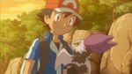  animated animated_gif gen_6_pokemon lowres noibat poke_ball pokemon pokemon_(anime) pokemon_(creature) pokemon_xy_(anime) satoshi_(pokemon) screencap 