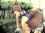  all_fours animal_ears aqua_eyes blush brown_hair copyright_request day forest fox_ears fox_tail fuji-k green_eyes looking_back nature non-web_source one-piece_swimsuit outdoors school_swimsuit short_hair solo swimsuit tail tree water 