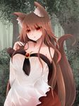  animal_ears arano_oki bare_shoulders blush breasts brooch brown_hair cleavage dress highres imaizumi_kagerou jewelry large_breasts long_hair long_sleeves looking_at_viewer open_mouth red_eyes see-through solo tail touhou wet wet_clothes wolf_ears wolf_tail 