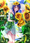  bare_shoulders blue_hair blush braid carrying_under_arm cloud day dress field flower flower_field frilled_dress frills green_dress hair_flower hair_ornament hand_on_headwear hat highres looking_at_viewer petals see-through shokugeki_no_souma sky sleeveless sleeveless_dress solo strap_slip sun_hat sundress sunflower sunflower_hair_ornament sunflower_petals swordsouls tadokoro_megumi twin_braids yellow_eyes 