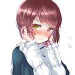  blush brown_hair green_eyes heterochromia red_eyes rozen_maiden shiro-inu short_hair solo souseiseki upper_body 