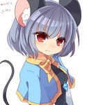  animal_ears capelet dated grey_hair highres jewelry kozakura_(dictionary) mouse_ears mouse_tail nazrin pendant red_eyes short_hair simple_background solo tail touhou white_background 