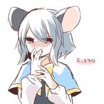  animal_ears blush covering_mouth dated grey_hair kozakura_(dictionary) mouse_ears mouse_tail nazrin red_eyes short_hair solo tail touhou 