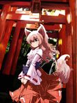  animal_ears blue_eyes brown_hair fox_ears fox_tail hitsuji_(artist) japanese_clothes miko original solo tail torii 