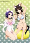 :d :o absurdres animal_ears arm_up armpits bangs bare_legs bare_shoulders barefoot beads bikini bikini_under_clothes black_hair blue_bikini blush breasts brown_hair buttons cat_ears cat_tail cleavage dress_shirt eye_contact fake_animal_ears frilled_bikini frills front-tie_bikini front-tie_top full_body gradient gradient_background green_background hair_ornament hairclip happy highres kemonomimi_mode kneeling kotegawa_yui long_hair long_sleeves looking_at_another megami multiple_girls navel off_shoulder official_art open_mouth parted_bangs paw_pose pink_bikini polka_dot polka_dot_background purple_eyes sairenji_haruna scan shirt side-tie_bikini sideboob sitting sleeves_past_wrists small_breasts smile striped striped_bikini swimsuit swimsuit_under_clothes tail taketani_kyouko to_love-ru to_love-ru_darkness to_love-ru_darkness_2nd white_bikini white_shirt yellow_eyes 