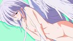  1girl angel angel_wings blush breasts grisaia_(series) grisaia_no_kajitsu kazami_kazuki ni nipples nude shy simple_background small_breasts solo wallpaper white_hair wings 