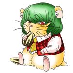  animalization ascot clothed_animal eating full_body green_hair hamster kazami_yuuka locomon long_sleeves lowres no_humans plaid plaid_vest red_eyes seed short_hair sitting sunflower_seed touhou transparent_background vest whiskers 
