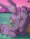 5_toes anthro balls beerus claws depth_of_field domestic_cat dragon_ball dragon_ball_super feet felid feline felis foot_fetish foot_focus genitals hairless hairless_cat hi_res looking_at_viewer male mammal nipples nude penis piercing prismanoodle_(artist) purple_body smile soles solo sphynx_(cat) toe_claws toes