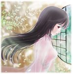  black_hair breasts expressionless houraisan_kaguya lips long_hair looking_down medium_breasts open_clothes open_robe petals profile red_eyes robe see-through solo touhou tree_branch tsukiori_sasa wind window 