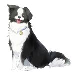 animal animal_focus border_collie dog floppy_ears full_body hatomachi_hane highres looking_at_viewer no_humans open_mouth original pendant_watch simple_background sitting solo watch white_background 