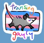 2023 ambiguous_gender american_opossum blue_background blush blush_stickers brown_nose digital_drawing_(artwork) digital_media_(artwork) english_text eyes_closed feral flat_colors full-length_portrait fur grey_body grey_fur handwritten_text lgbt_pride low_res mammal marsupial outline pink_blush pink_body pink_skin pink_tail portrait pride_color_flag pride_colors rainbow_text raised_tail simple_background smile snout solo tail tansydrawsnsfw text transgender_pride_colors virginia_opossum walking white_outline