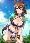  1girl agnes_tachyon_(lunatic_lab)_(umamusume) agnes_tachyon_(umamusume) ahoge animal_ears bikini black_bikini black_footwear black_gloves breasts brown_hair cleavage commentary_request criss-cross_halter cross-laced_footwear denim denim_shorts flask gloves green_jacket hair_between_eyes halterneck highres horse_ears horse_girl horse_tail ishii_takuma jacket kneeling looking_at_viewer medium_breasts official_alternate_costume open_clothes open_fly open_shorts parted_lips red_eyes round-bottom_flask sandals short_hair shorts single_glove sleeves_rolled_up smile solo swimsuit tail thigh_strap tied_jacket toenails toes umamusume 