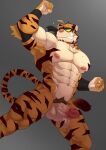 abs absurd_res anthro balls blackclown00 blackclownowo casual_nudity felid fur genitals hi_res humanoid_genitalia male mammal manly muscular muscular_anthro muscular_male navel nipples nude pantherine pecs penis pubes quads simple_background solo striped_body stripes tiger