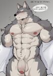 abs anthro balls biceps blush canid canine canis clothed clothing foreskin front_view fur genitals hi_res humanoid_genitalia humanoid_penis lef male mammal manly muscular muscular_anthro muscular_male navel nipples nude open_clothing open_shirt open_topwear pecs penis shirt simple_background solo topwear undressing wolf