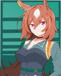 1girl absurdres animal_ears border breasts brown_hair cleavage closed_mouth collared_shirt commentary_request green_background green_jacket grey_shirt highres horse_ears horse_girl jacket kei5469 large_breasts long_hair looking_at_viewer pendant_choker red_eyes shirt simple_background sirius_symboli_(umamusume) solo umamusume upper_body white_border 