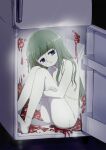  1girl blood blue_eyes closed_mouth collarbone grey_hair in_container long_hair looking_at_viewer m_no_hito nude original refrigerator refrigerator_interior sitting smile solo stitched_face stitched_leg stitched_torso stitches 