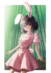  absurdres animal_ears back_hair bamboo carrot_necklace commentary english_commentary highres inaba_tewi jewelry looking_at_viewer necklace pink_shirt pink_skirt rabbit_ears rabbit_girl rabbit_tail red_eyes shirt short_hair short_sleeves skirt smacphadraig smile tail touhou 