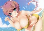  :q animal_ears ass_cutout bandeau beach bent_over bikini blue_sky breasts cleavage cloud day fisheye green_eyes highres huge_breasts looking_at_viewer nanase_meruchi navel original outdoors paw_pose pink_hair scan short_hair sky solo swimsuit tail tiger_ears tiger_tail tongue tongue_out yellow_bikini 