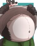 2024 4:5 anthro belly blush bottomwear bulge canid canine clothed clothing fangs fingers fur green_bottomwear green_clothing grey_clothing grey_topwear hi_res looking_at_viewer male mammal navel nullraihigi open_mouth overweight overweight_anthro overweight_male partially_clothed solo teeth topwear 