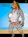  andromorph anthro beach clothing equid equine hi_res intersex mammal piercing pregnant pregnant_andromorph pregnant_intersex rj_(rj_zenith) rj_zenith solo swimwear zebra 