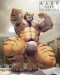 2024 abs anthro armpit_hair balls balls_outline barazoku biceps blonde_hair bodily_fluids body_hair bulge chair chest_hair chest_tuft claws clothed clothing crouching detailed_bulge facial_hair fangs felid finger_claws flaccid flexing flexing_bicep furniture genital_outline genitals hair hand_behind_back hi_res inner_ear_fluff inside looking_at_viewer looking_down low-angle_view male mammal nipples pantherine pecs penis penis_outline pose pubes quads shan_yao_jun skimpy solo steam striped_body stripes stripes_fur sweat sweatdrop sweaty_legs sweaty_thighs teeth tiger toe_claws translucent translucent_clothing translucent_underwear triceps tuft underwear wardrobe_malfunction whiskers worm&#039;s-eye_view