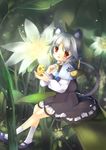  animal_ears bad_id bad_pixiv_id basket cheese flower food fuyouchu grey_hair jewelry minigirl mouse mouse_ears mouse_tail nature nazrin pendant plant red_eyes short_hair sitting sitting_on_object solo tail touhou 