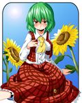  ascot blush breasts flower green_hair hand_on_own_chest kasuka kazami_yuuka lens_flare medium_breasts plaid plaid_skirt plaid_vest red_eyes shirt short_hair sitting skirt skirt_set solo sun sunflower taut_clothes taut_shirt touhou vest 