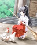  bird black_hair broom brown_eyes chicken japanese_clothes miko rooster 