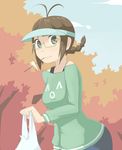  ^_^ ^o^ akizuki_ritsuko antenna_hair autumn bad_id bad_pixiv_id bag braid brown_hair closed_eyes glasses green_eyes idolmaster idolmaster_(classic) katakura_supipi shopping_bag short_hair solo stick twin_braids twintails visor_cap 