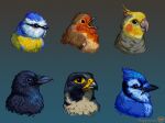  animal animal_focus artist_logo artist_name bird black_eyes black_feathers blue_feathers blue_jay brown_feathers chickadee closed_mouth cockatiel commentary cropped_torso crow english_commentary falcon feathers gradient_background highres no_humans open_mouth orange_feathers original pixel_art rappenem robin_(animal) yellow_feathers 