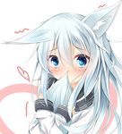  animal_ears blue_eyes blue_hair blush fox_ears fox_tail hibiki_(kantai_collection) kantai_collection kemonomimi_mode kushida_you long_hair looking_at_viewer looking_back no_hat no_headwear solo tail 