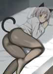  animal_ears ass black_legwear cat_ears cat_tail dress_shirt glastonbury1966 green_eyes grey_hair long_sleeves lying on_side panties panties_under_pantyhose pantyhose sanya_v_litvyak shirt short_hair solo strike_witches tail underwear world_witches_series 